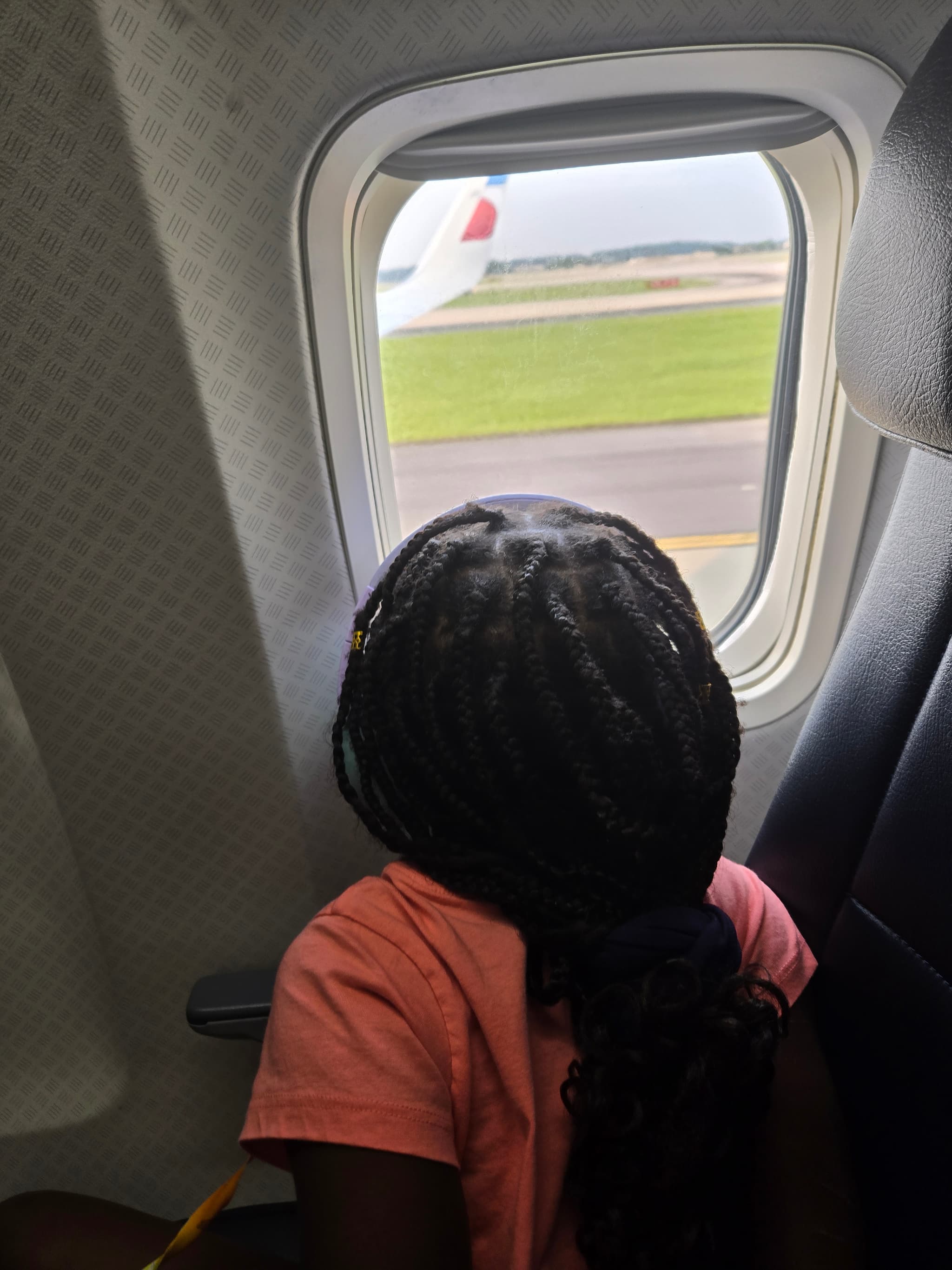 Izzy looking out a plane window